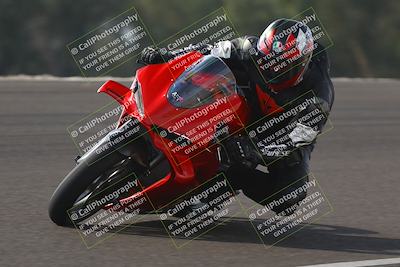 media/Nov-02-2025-Lets Ride (Sun) [[f7a3caa734]]/A Group/11am (Turn 2 Inside)/